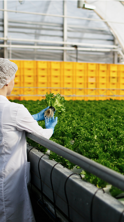 Agroalimentaire